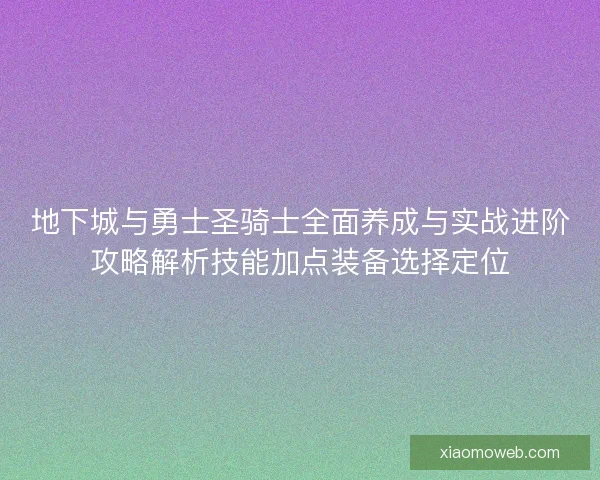 地下城与勇士圣骑士全面养成与实战进阶攻略解析技能加点装备选择定位