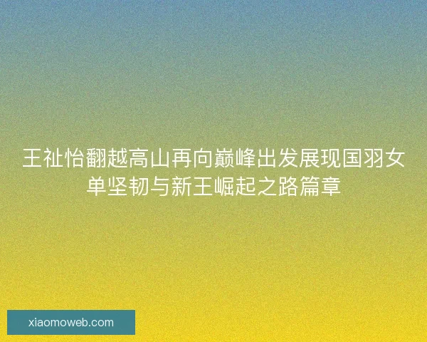 王祉怡翻越高山再向巅峰出发展现国羽女单坚韧与新王崛起之路篇章